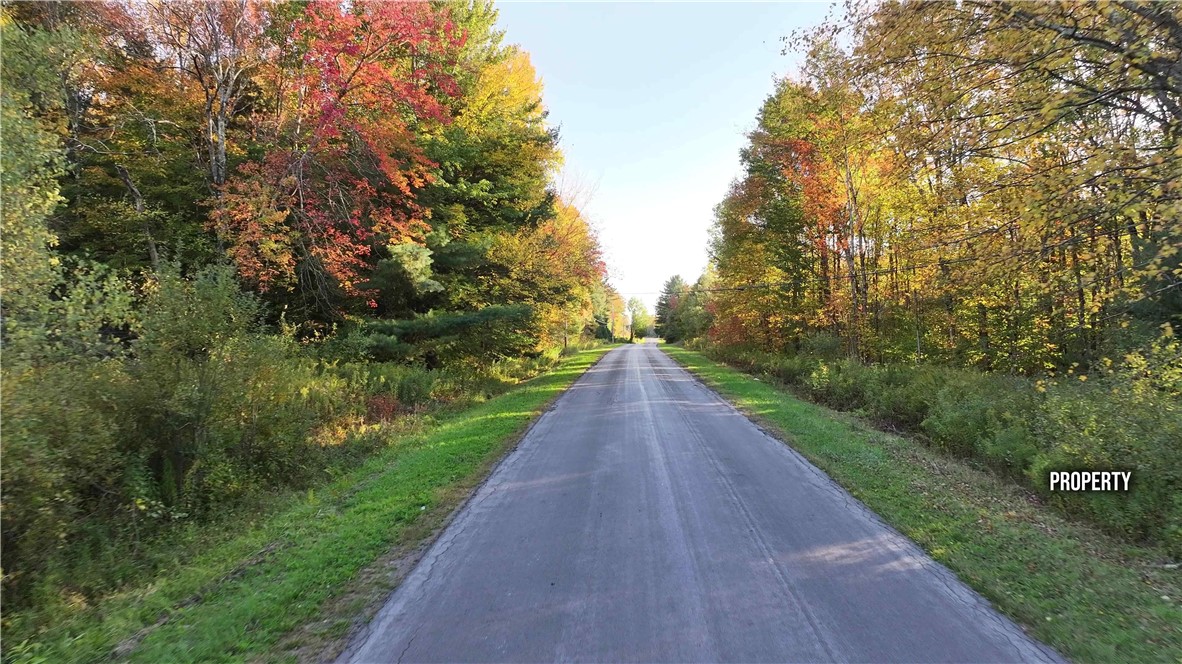 273 White Road Parish, NY 13131 - Photo 11 of 20