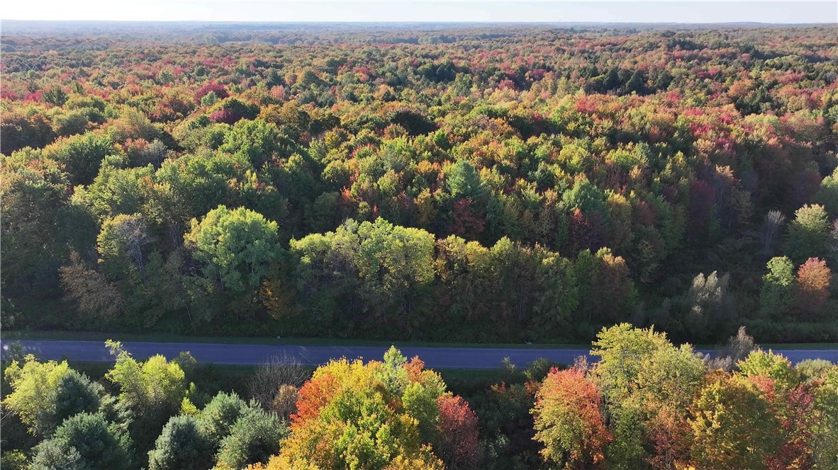 273 White Road Parish, NY 13131 - Photo 12 of 20