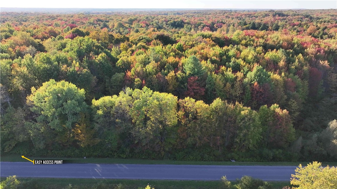 273 White Road Parish, NY 13131 - Photo 13 of 20