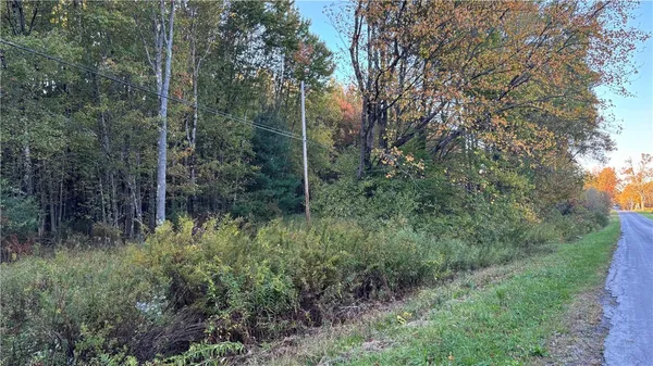 $59,900 | 273 White Road, Parish, NY 13131