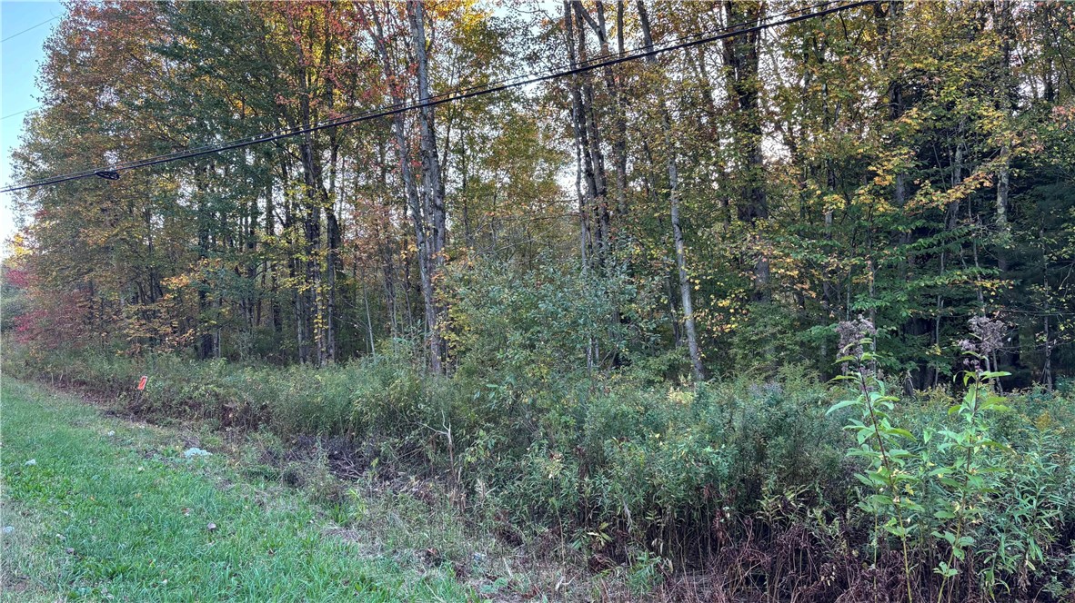 273 White Road Parish, NY 13131 - Photo 16 of 20