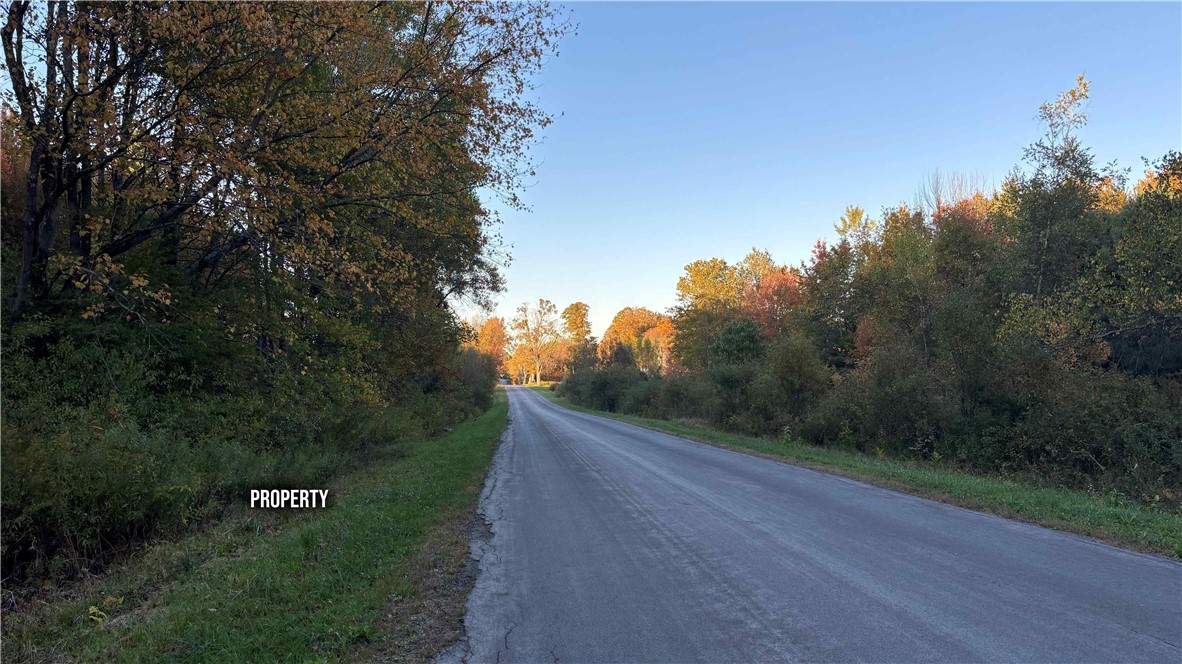 273 White Road Parish, NY 13131 - Photo 17 of 20