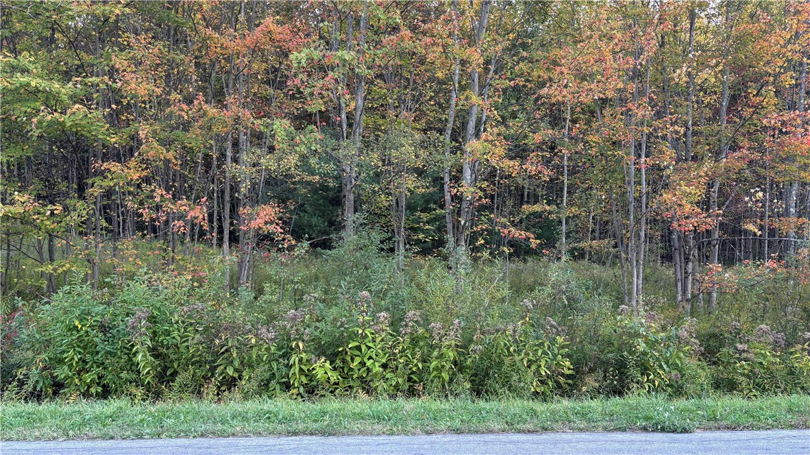 273 White Road Parish, NY 13131 - Photo 18 of 20