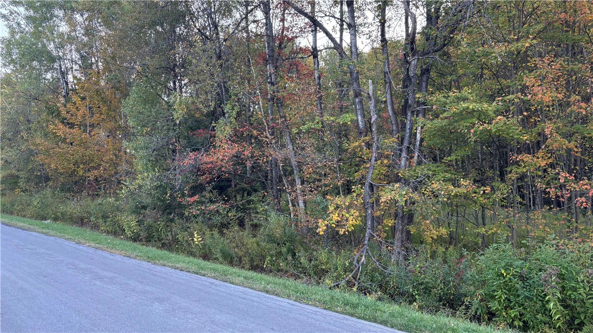 273 White Road Parish, NY 13131 - Photo 19 of 20