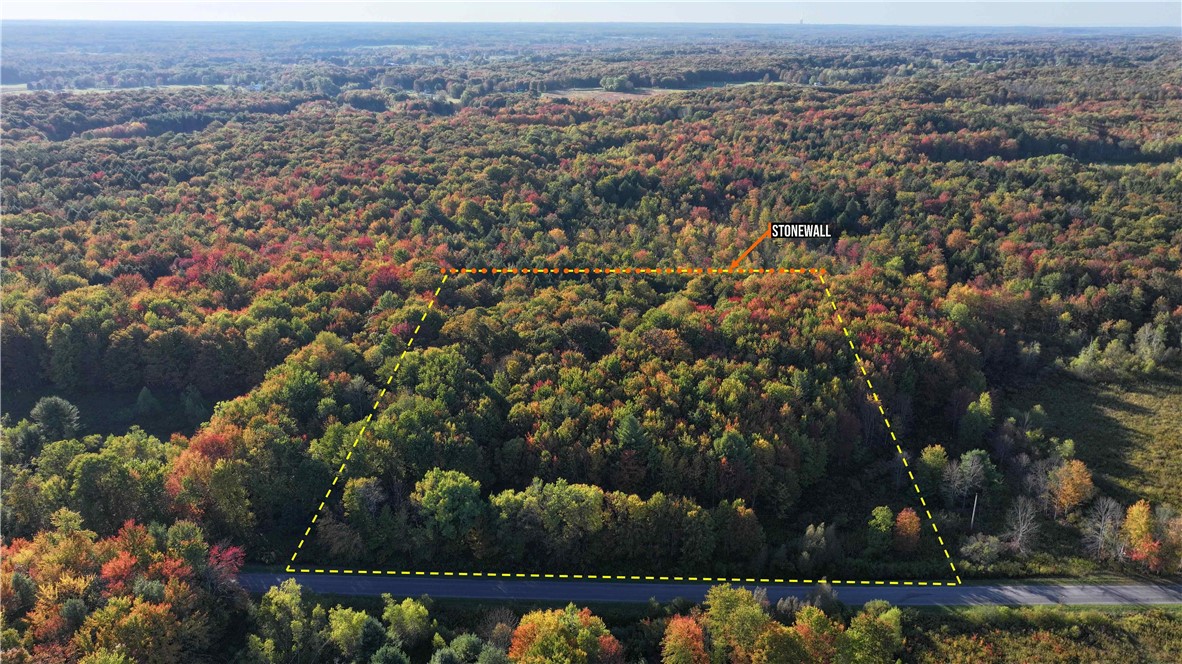 273 White Road Parish, NY 13131 - Photo 2 of 20