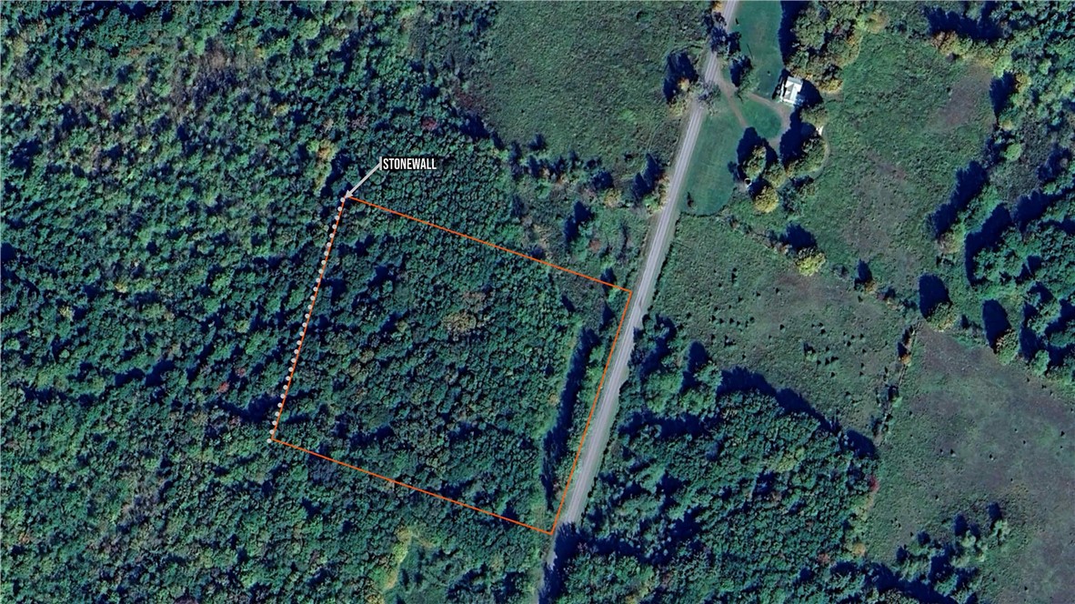 273 White Road Parish, NY 13131 - Photo 3 of 20