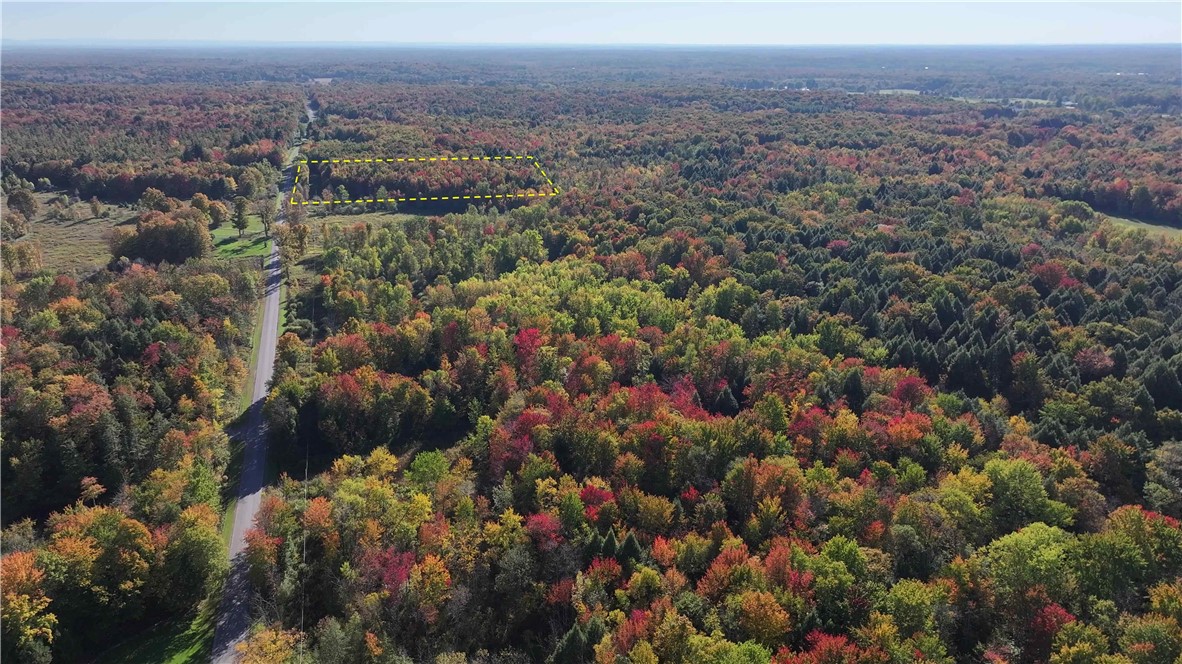 273 White Road Parish, NY 13131 - Photo 4 of 20