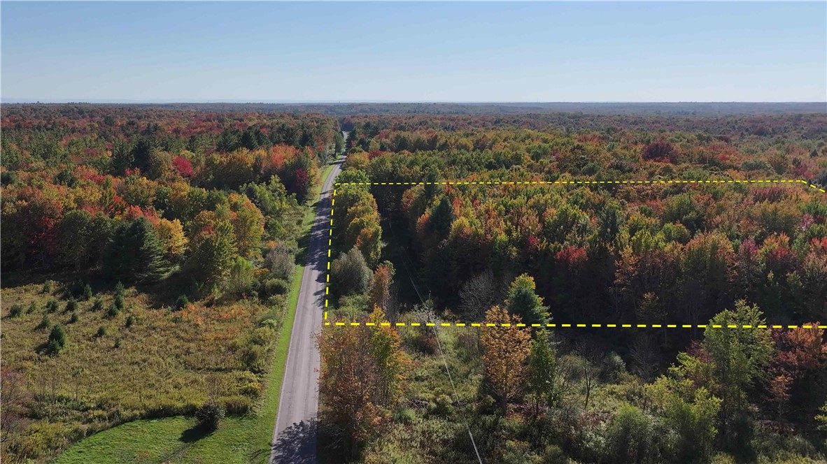 273 White Road Parish, NY 13131 - Photo 5 of 20