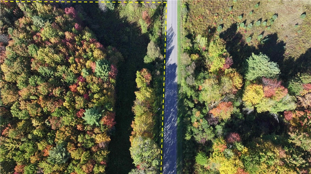 273 White Road Parish, NY 13131 - Photo 8 of 20