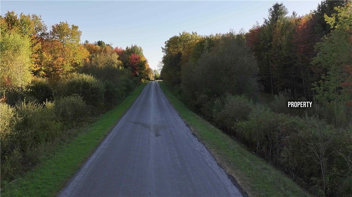 273 White Road Parish, NY 13131 - Photo 10 of 20