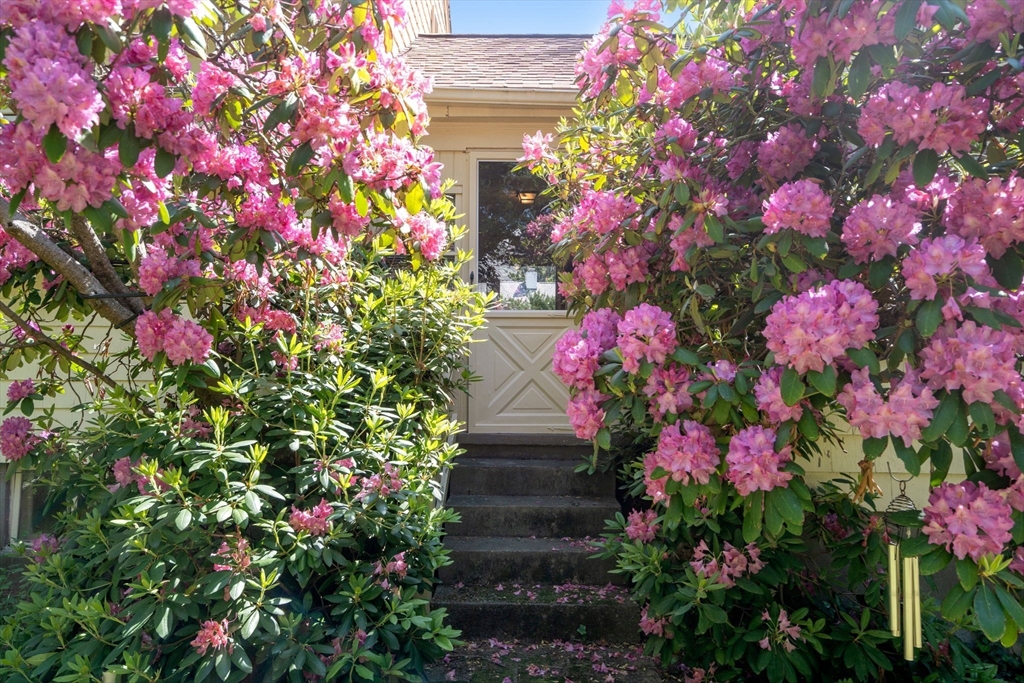 3 Pall Mall Walpole, MA 02032 - Photo 38 of 42