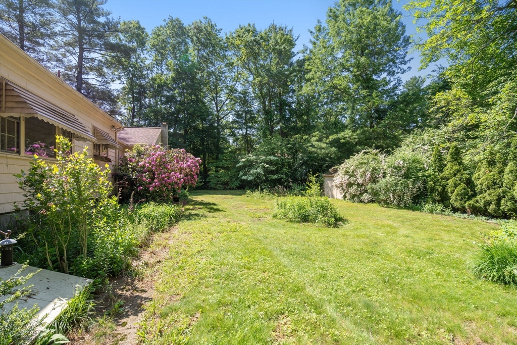 3 Pall Mall Walpole, MA 02032 - Photo 41 of 42