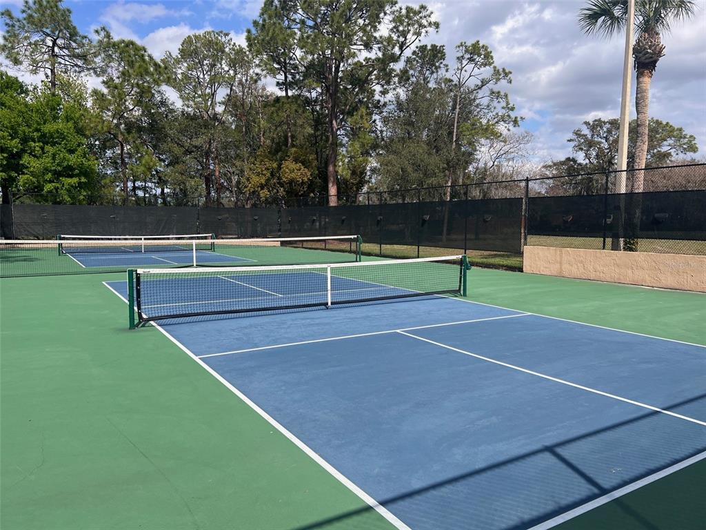 7432 Sparkling Lake Road Orlando, FL 32819 - Photo 52 of 54 a view of a tennis court