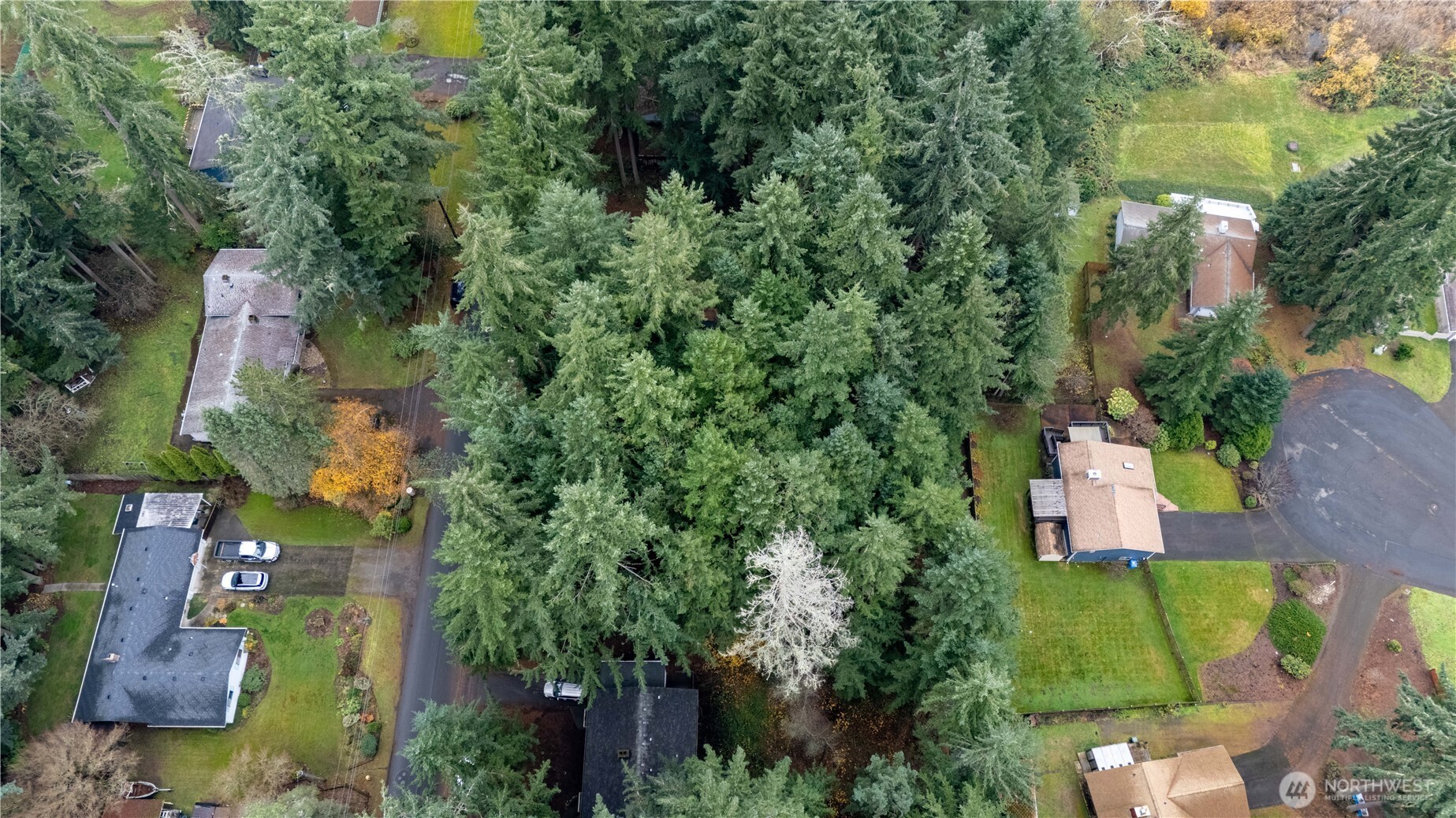6943 20th Avenue Southeast Lacey, WA 98503 - Photo 17 of 26 an aerial view of a house