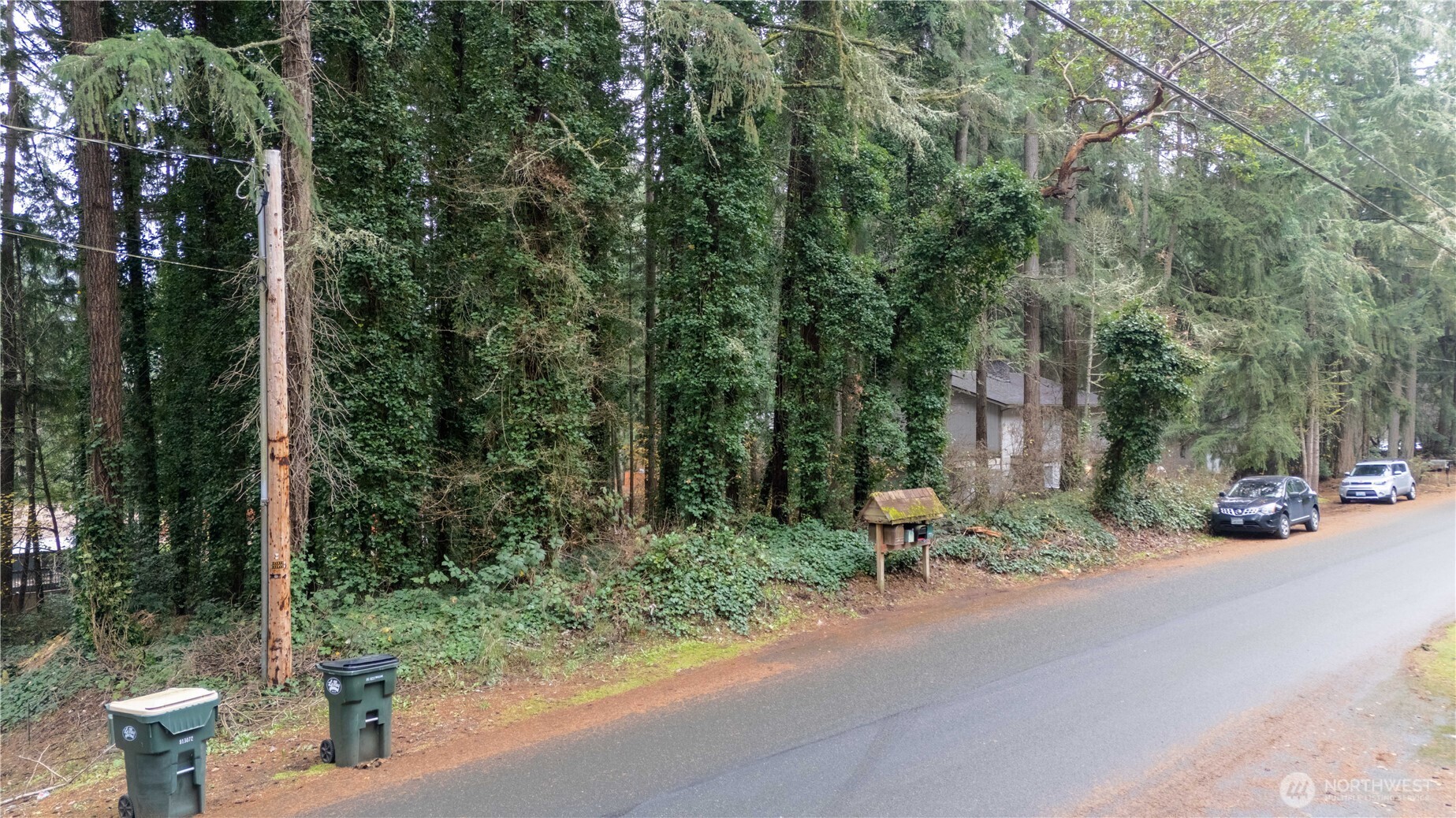 6943 20th Avenue Southeast Lacey, WA 98503 - Photo 10 of 26 a view of a road with potted plants and large trees