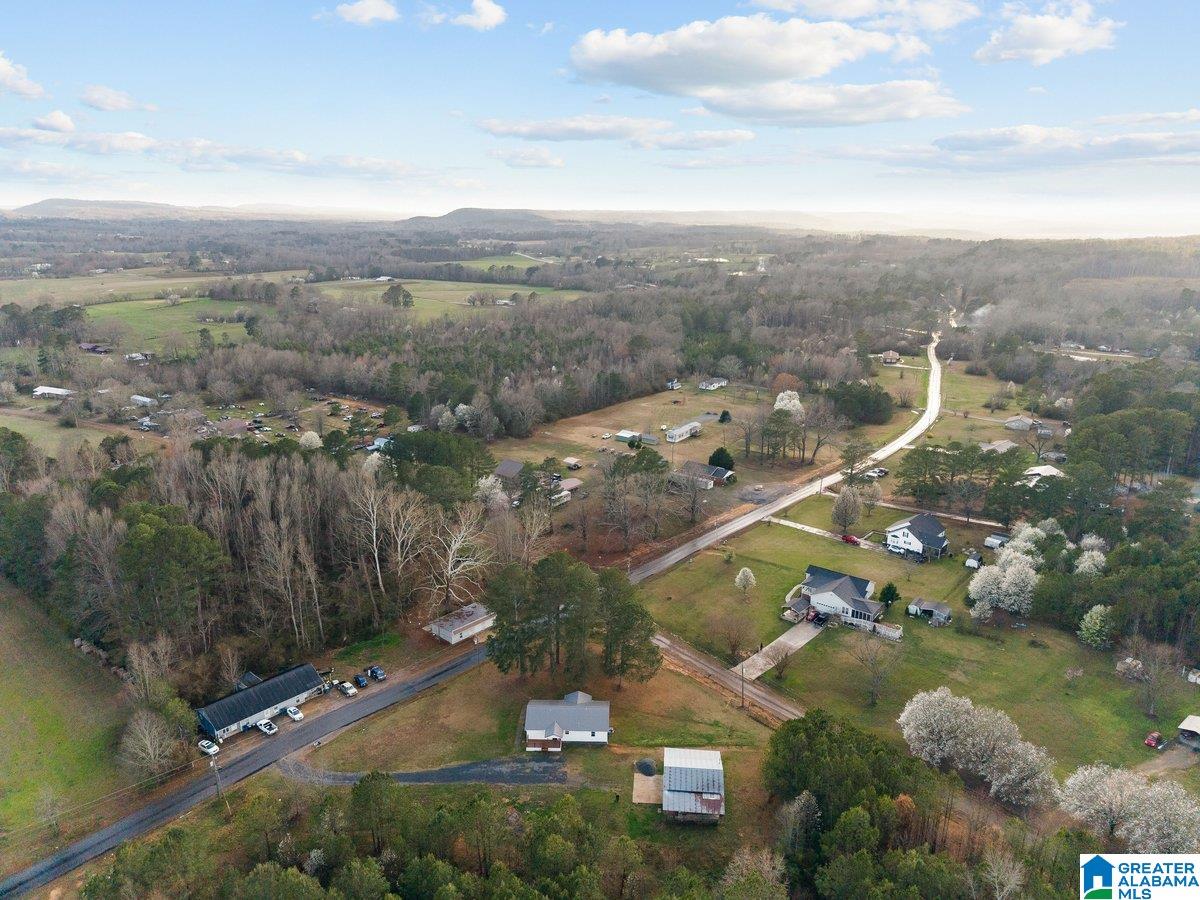 407 Wilson Chapel Road Oneonta, AL 35121 - Photo 33 of 37
