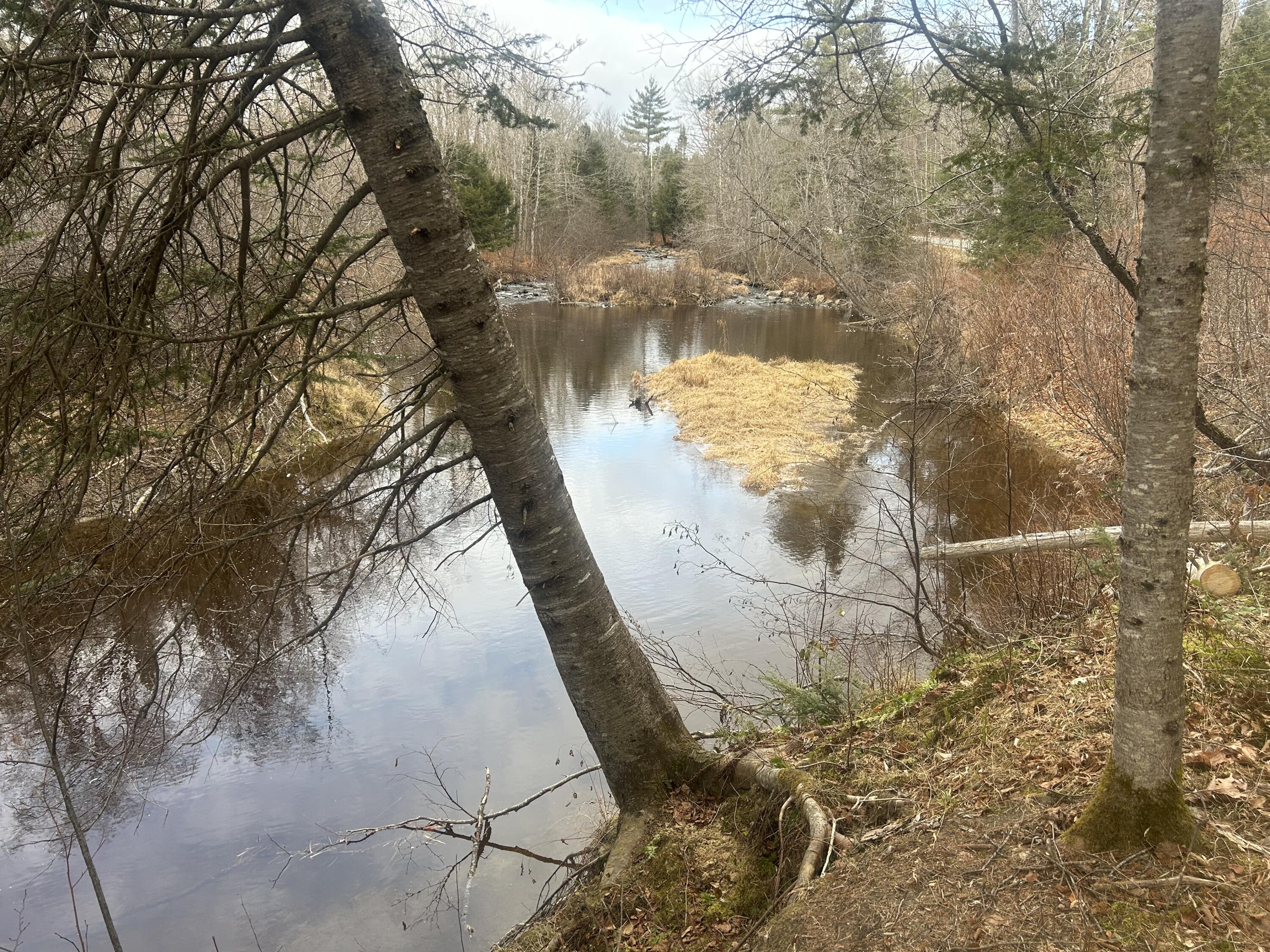 96 Bert Berry Road Embden, ME 04958 - Photo 7 of 21 IMG_4124