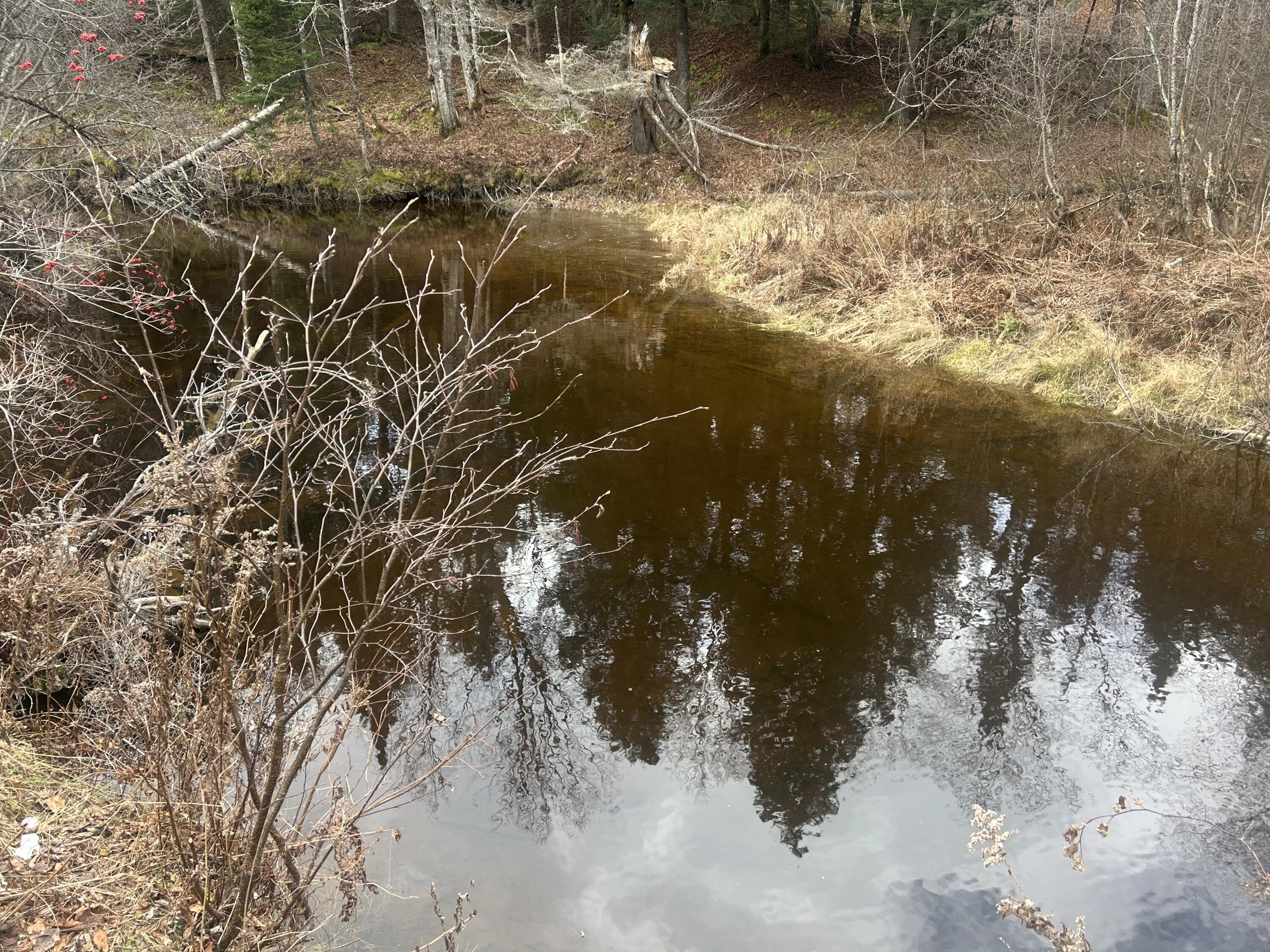 96 Bert Berry Road Embden, ME 04958 - Photo 8 of 21 IMG_4127