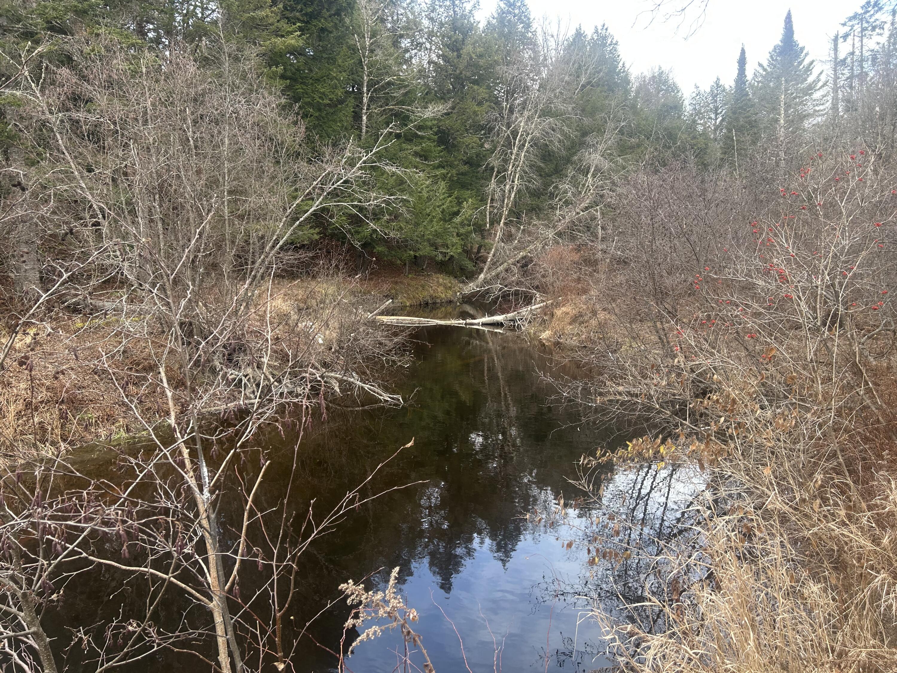 96 Bert Berry Road Embden, ME 04958 - Photo 9 of 21 IMG_4128