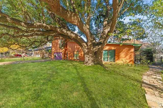 a view of a park with large trees