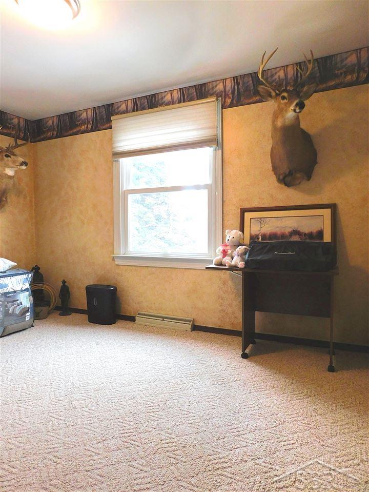 18850 Frost Road Hemlock, MI 48626 - Photo 12 of 30