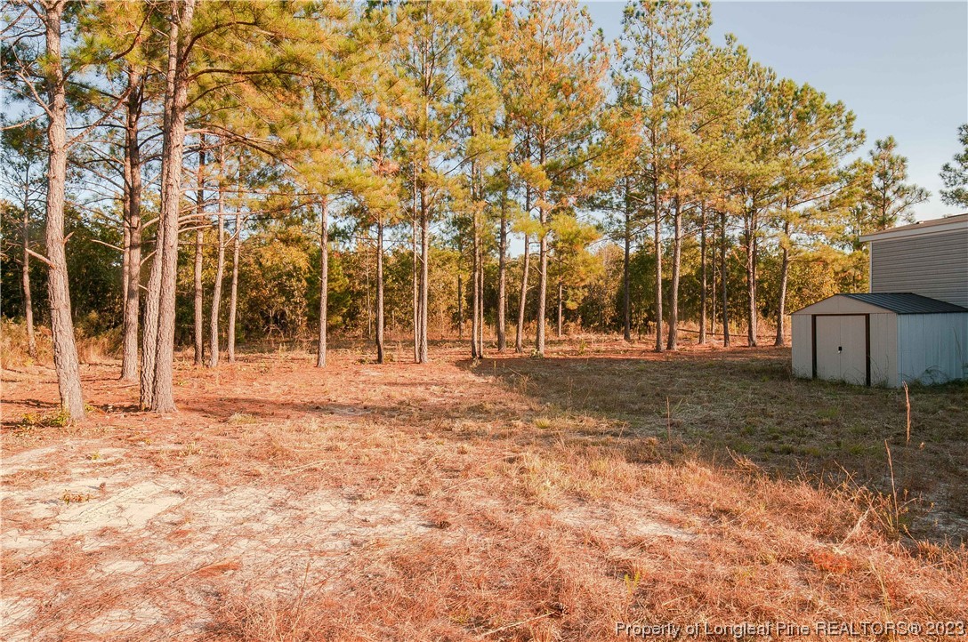 28561 North Turnpike Road, Unit 3 & 4 Wagram, NC 28396 - Photo 3 of 38 Gallery Image 3