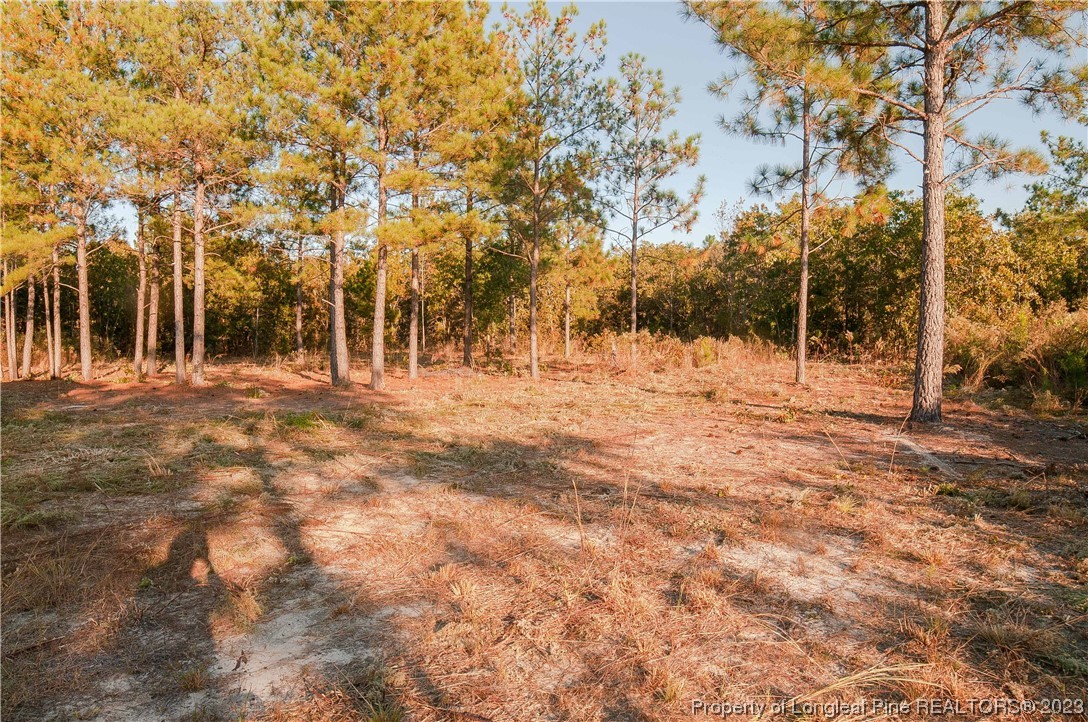 28561 North Turnpike Road, Unit 3 & 4 Wagram, NC 28396 - Photo 4 of 38 Gallery Image 4