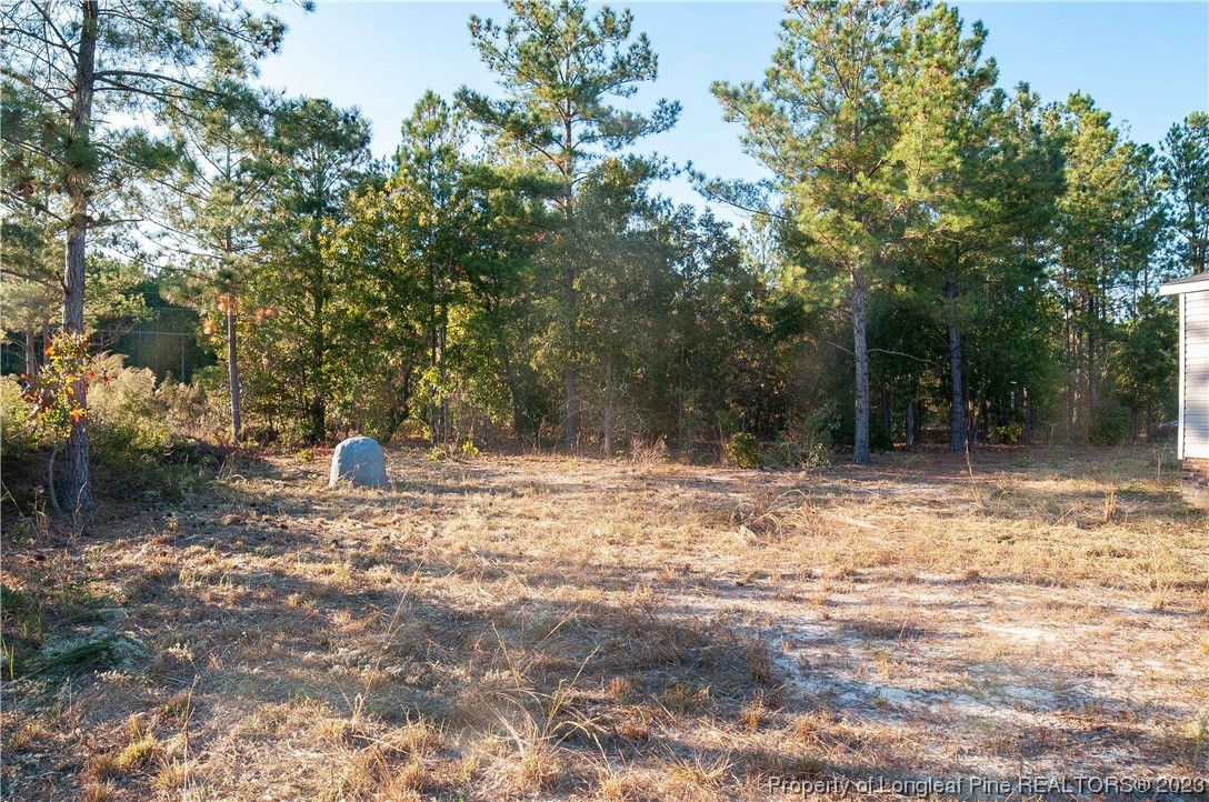 28561 North Turnpike Road, Unit 3 & 4 Wagram, NC 28396 - Photo 7 of 38 Gallery Image 7