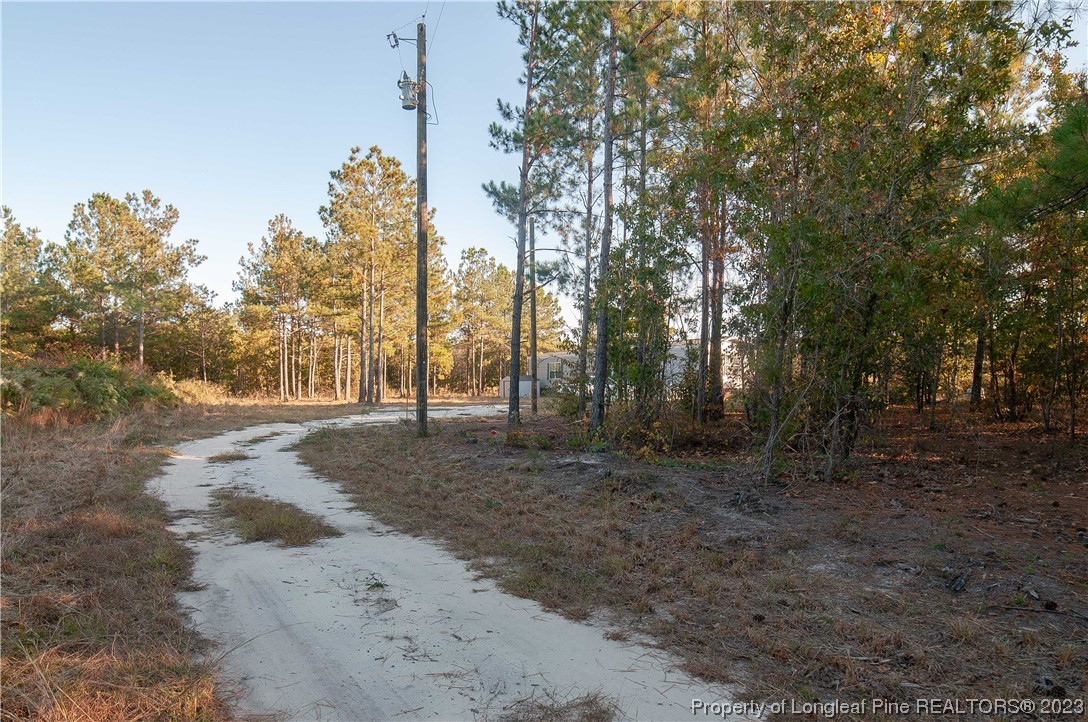 28561 North Turnpike Road, Unit 3 & 4 Wagram, NC 28396 - Photo 9 of 38 Gallery Image 9
