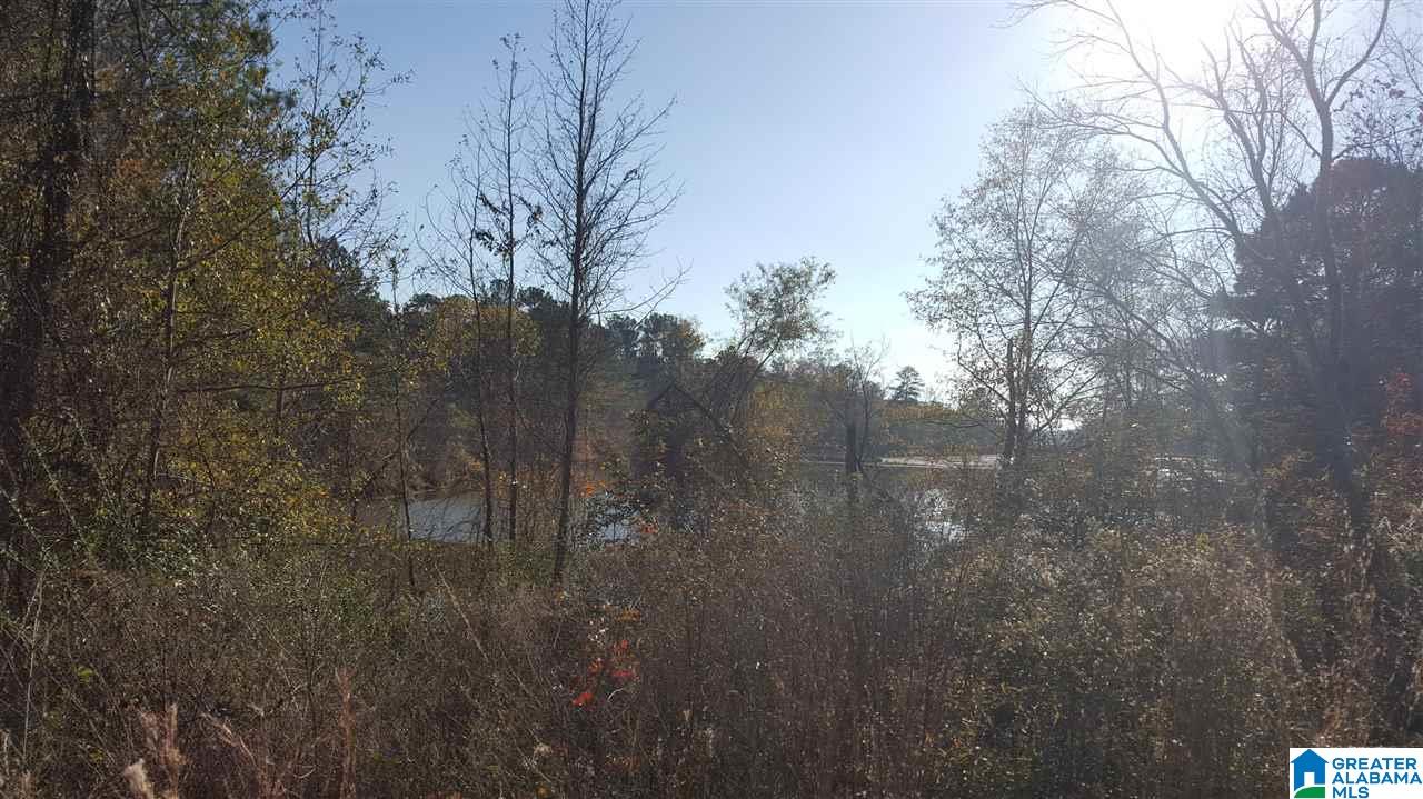 0 Haven Circle, Unit 39 Riverside, AL 35135 - Photo 7 of 32
