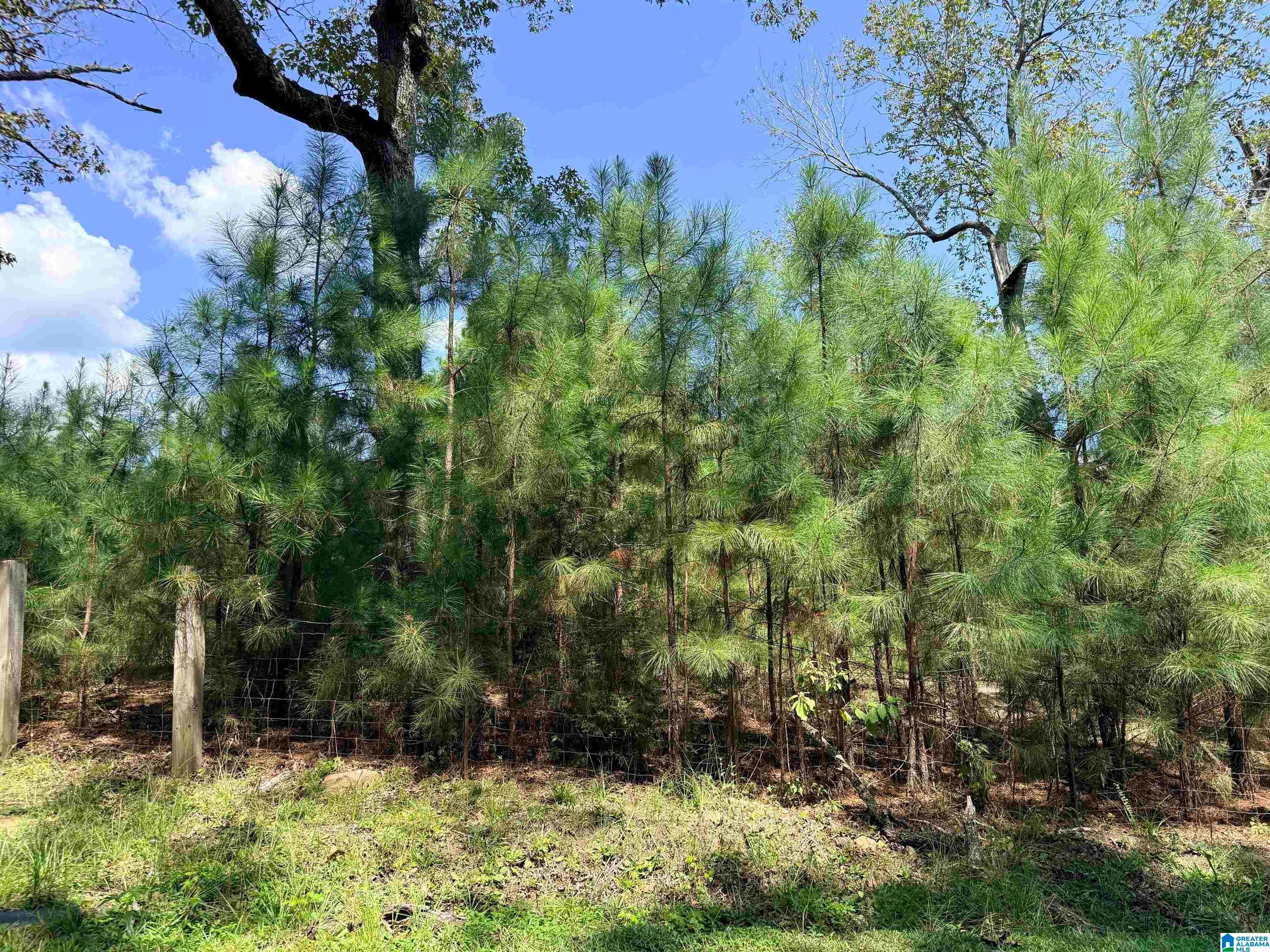 0 Rockyview Road West Blocton, AL 35184 - Photo 22 of 23 Gallery Image 22
