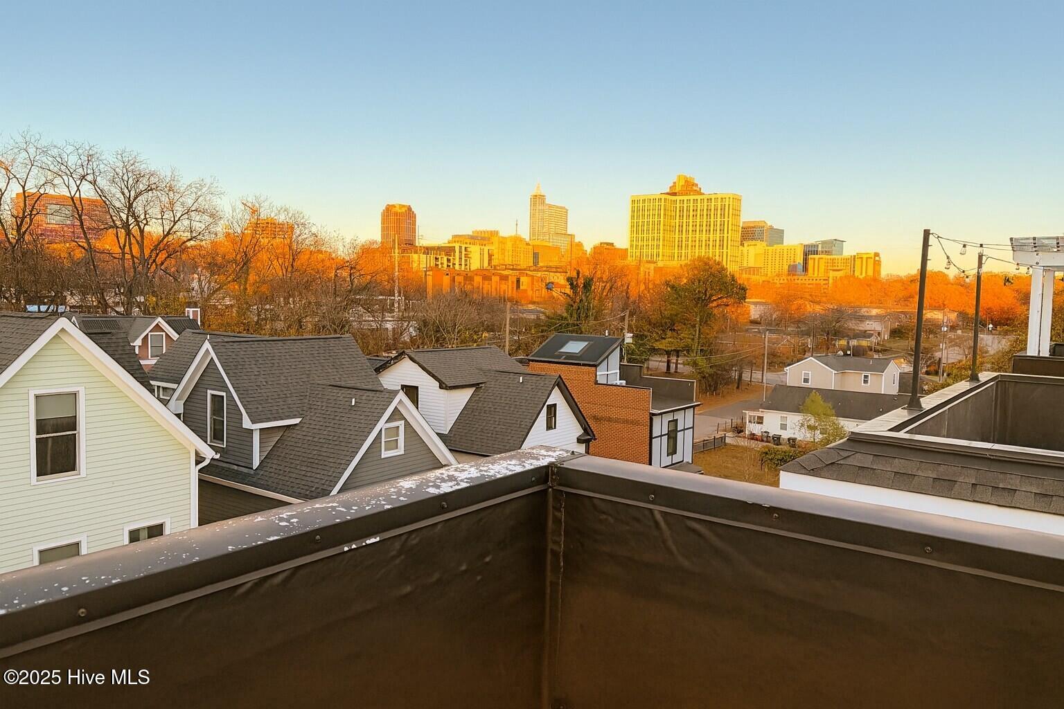 629 Effie Way Raleigh, NC 27603 - Photo 23 of 33 23 Rooftop Deck Skyline