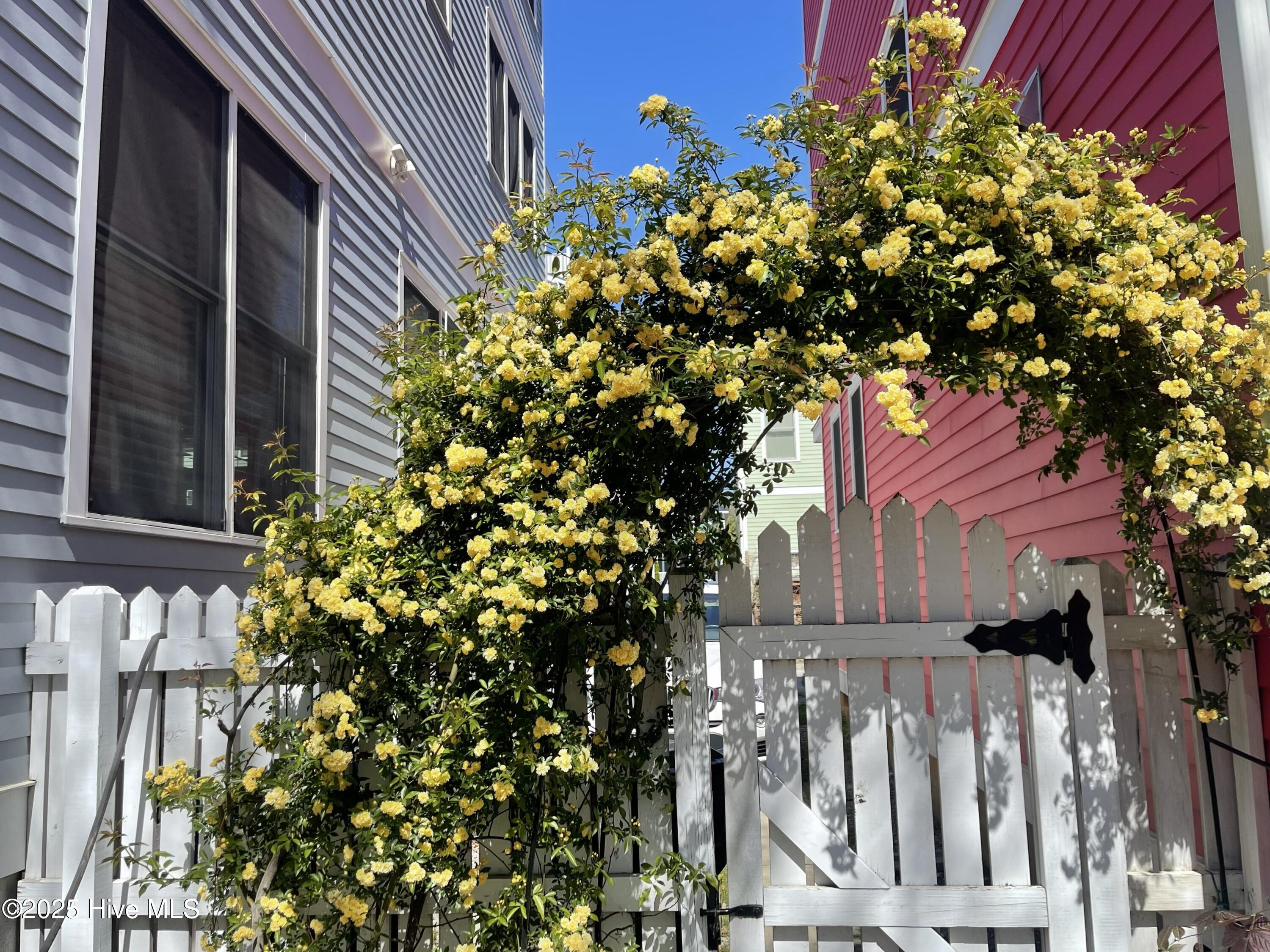 629 Effie Way Raleigh, NC 27603 - Photo 27 of 33 27 Flower Arch