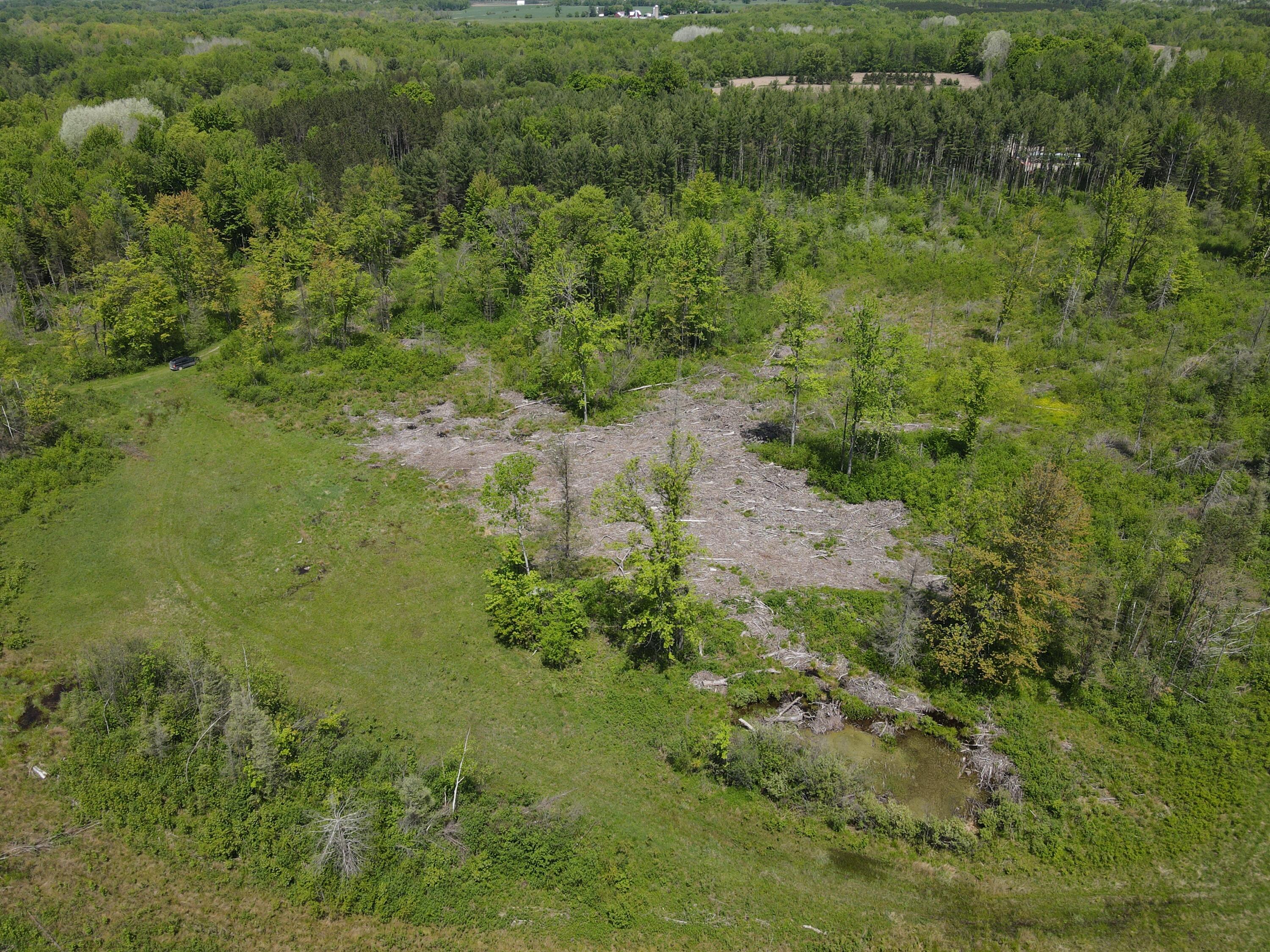 Nn Long Lake Road Marion, MI 49665 - Photo 45 of 70 Photo_1080296333_DJI_909_jpg_8743239_0_2