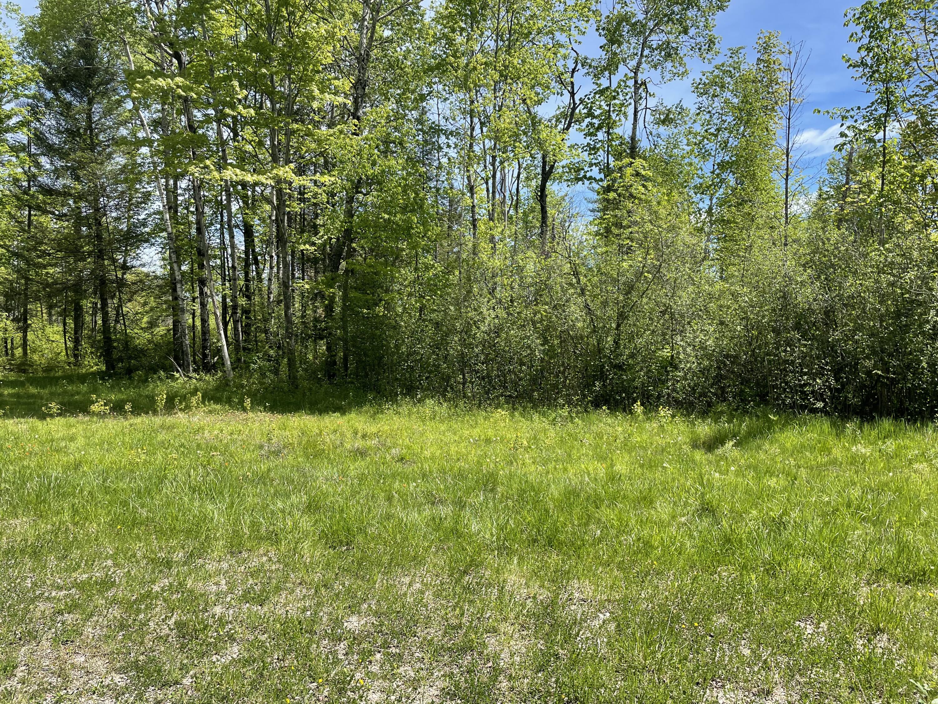 Nn Long Lake Road Marion, MI 49665 - Photo 54 of 70 IMG_4848