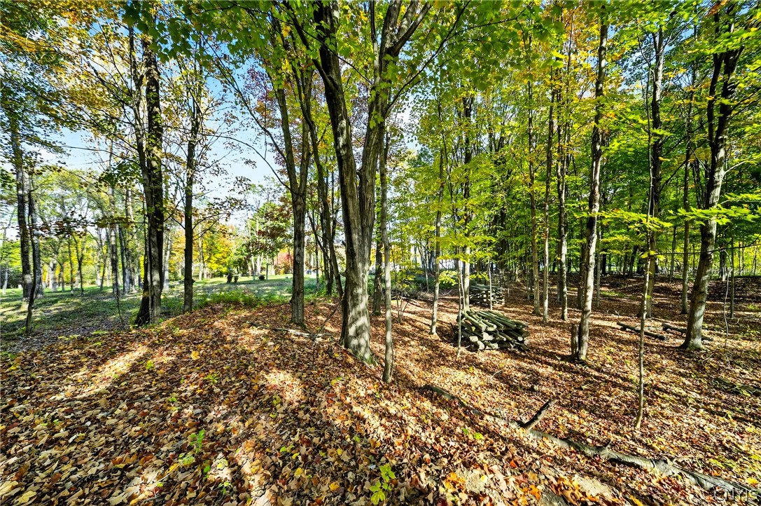 8439 State Rte 3 Sandy Creek, NY 13142 - Photo 5 of 12