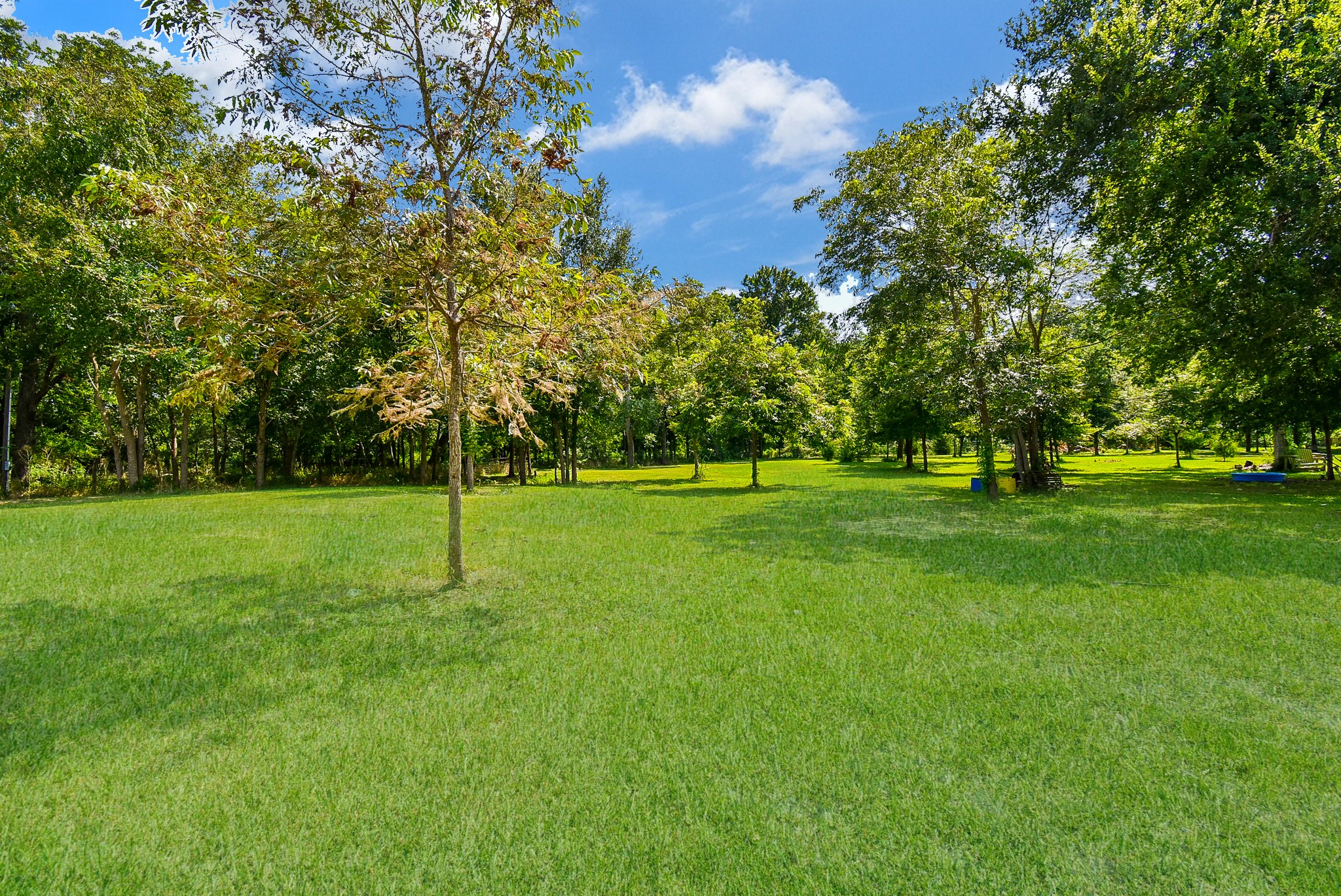 39551 Donigan Road Brookshire, TX 77423 - Photo 13 of 37 View of green lawn featuring view of scattered trees