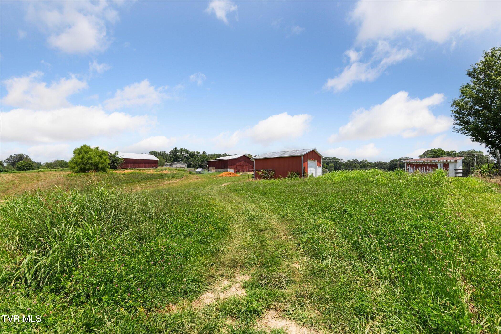Tbd Bright Hope Road Greeneville, TN 37743 - Photo 6 of 6 68-2315-Bright-Hope-Rd-Greeneville-TN-Wi
