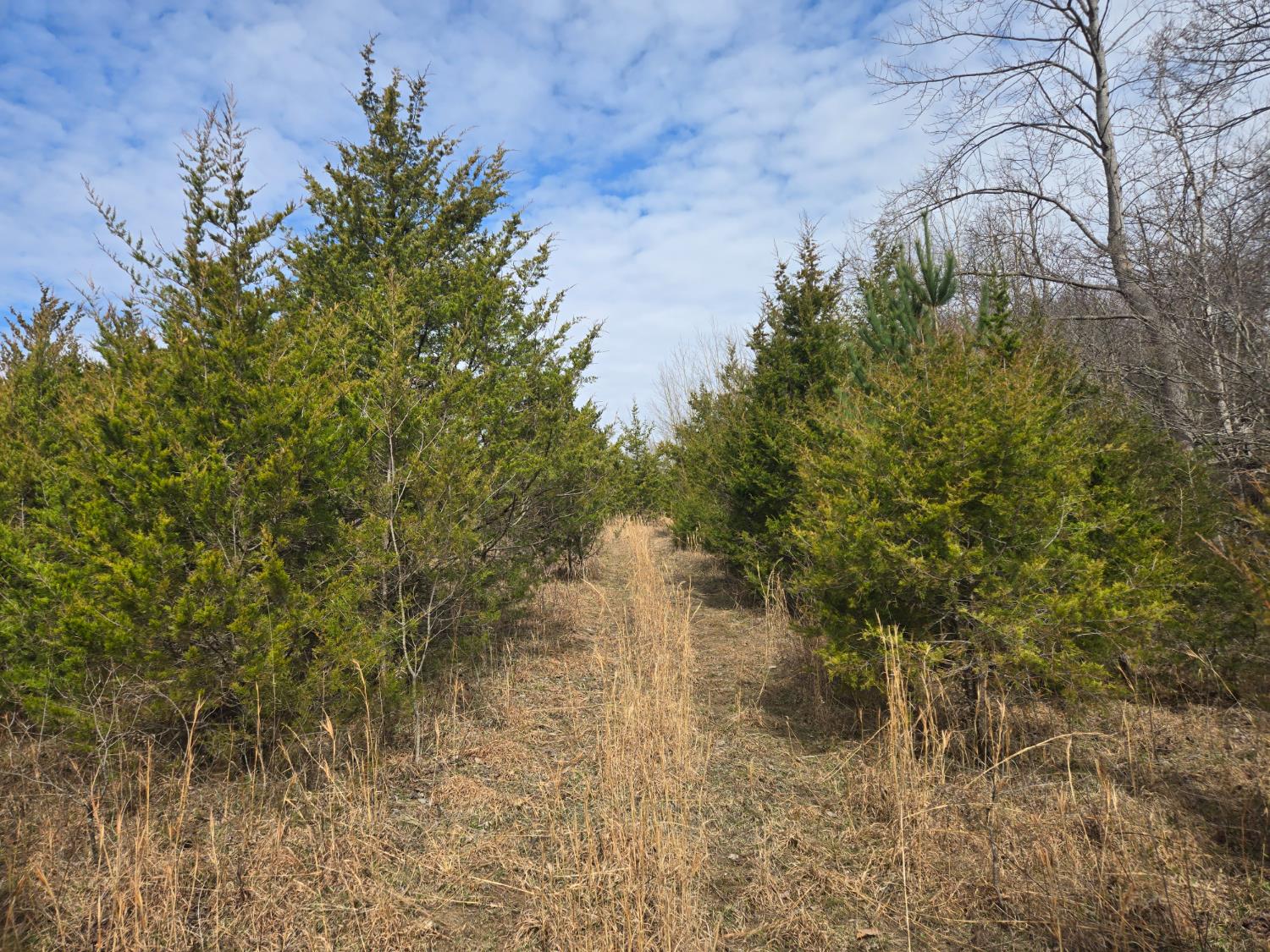 0 Mettle Road Laurel, IN 47024 - Photo 11 of 23