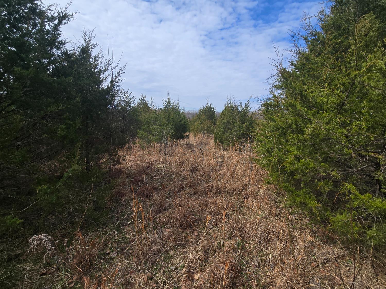 0 Mettle Road Laurel, IN 47024 - Photo 12 of 23