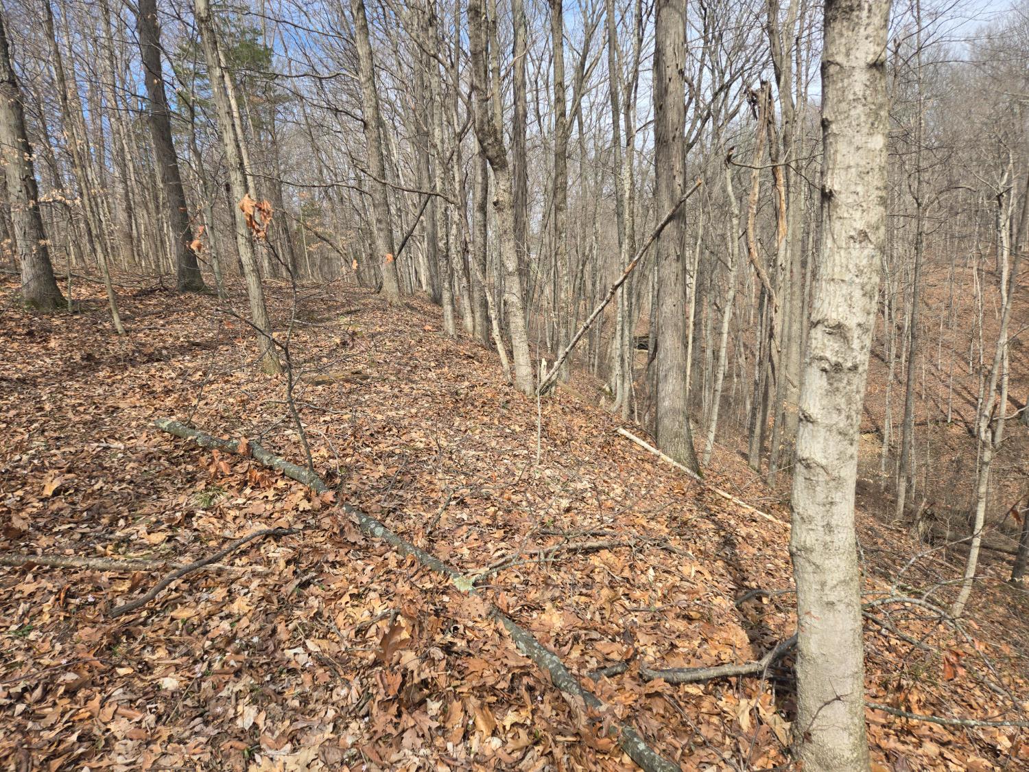 0 Mettle Road Laurel, IN 47024 - Photo 14 of 23