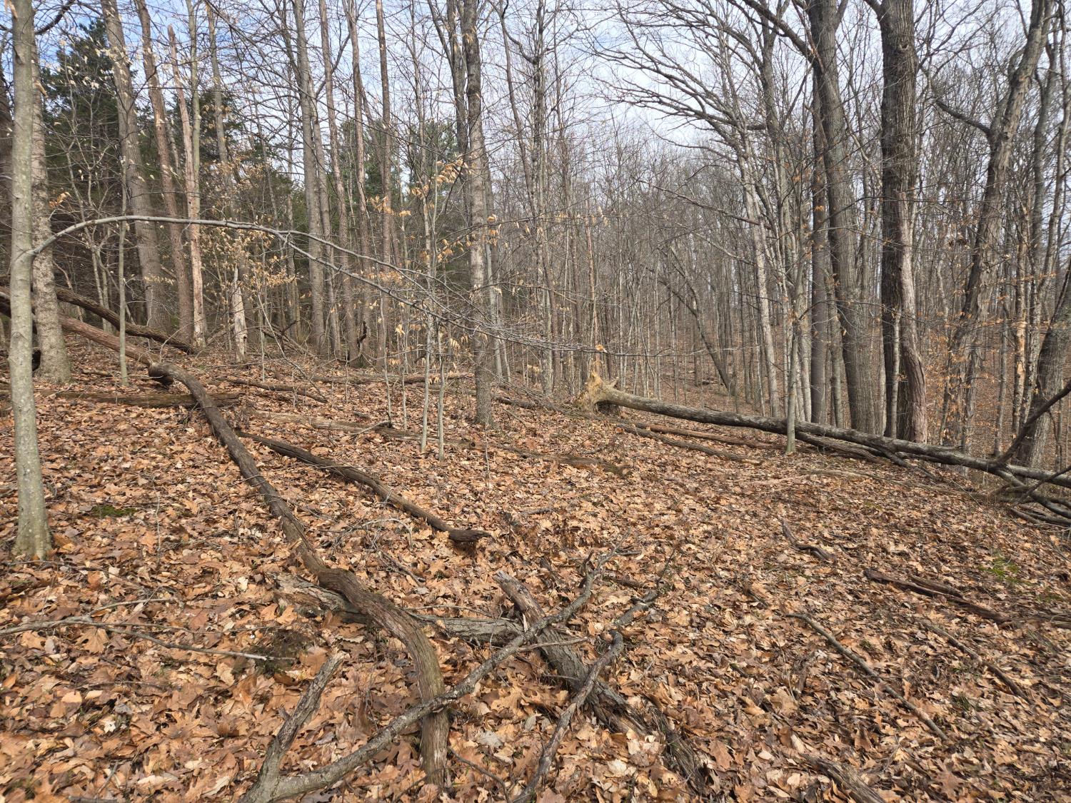 0 Mettle Road Laurel, IN 47024 - Photo 15 of 23