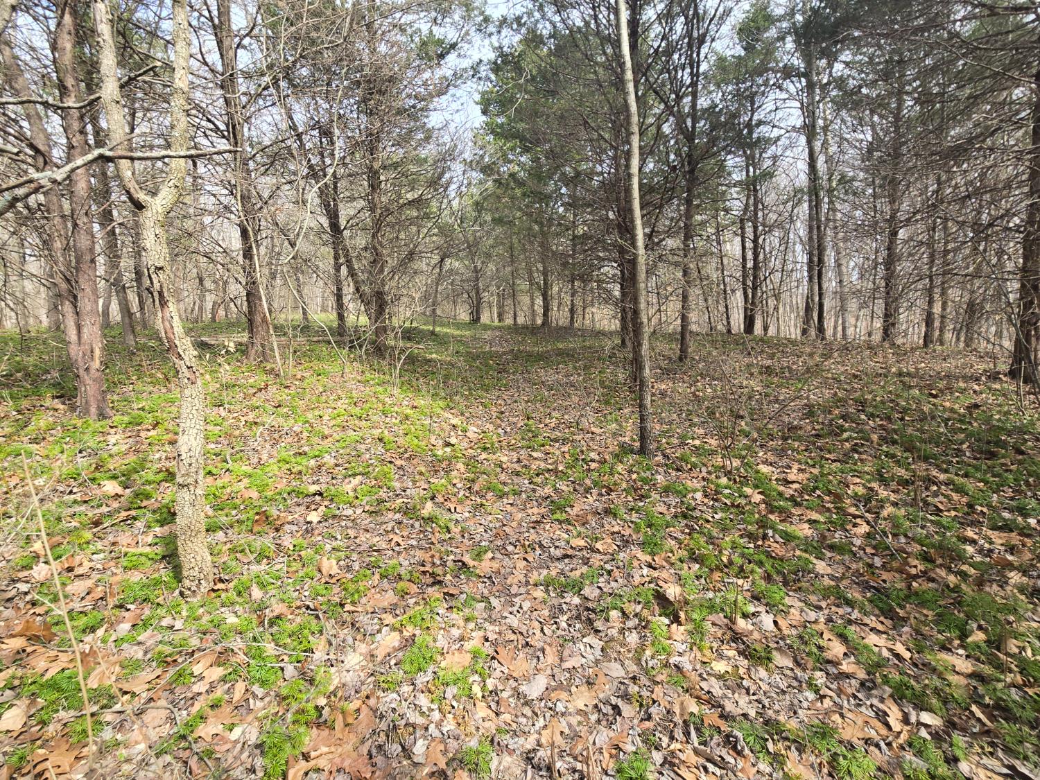 0 Mettle Road Laurel, IN 47024 - Photo 18 of 23