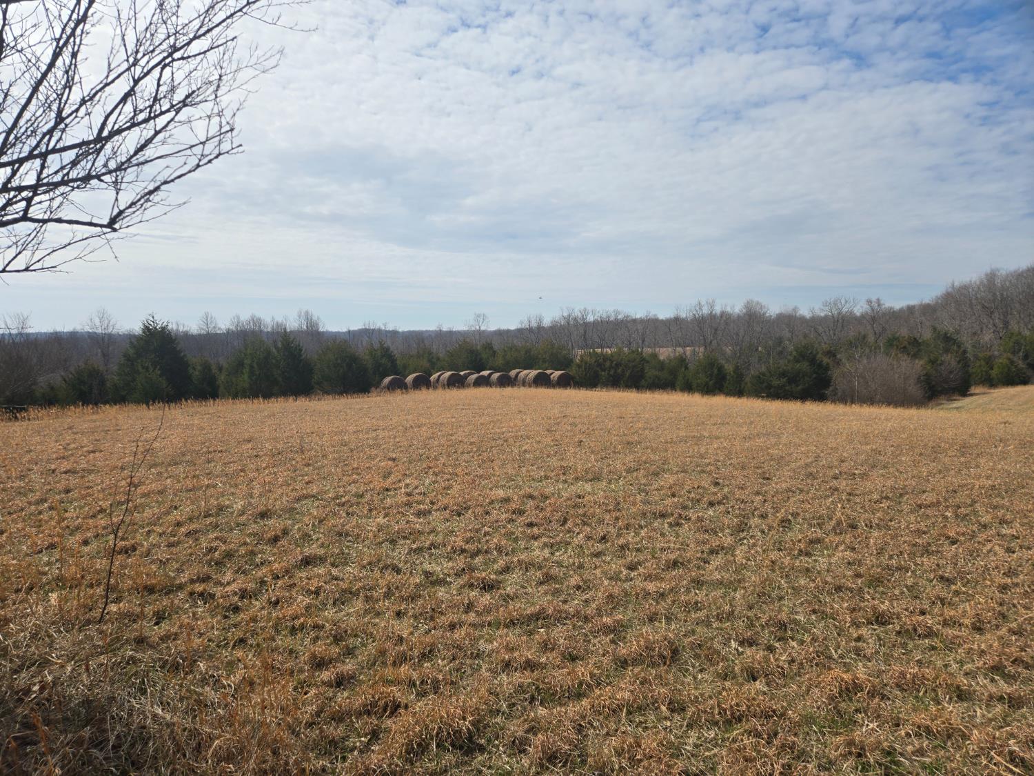 0 Mettle Road Laurel, IN 47024 - Photo 2 of 23