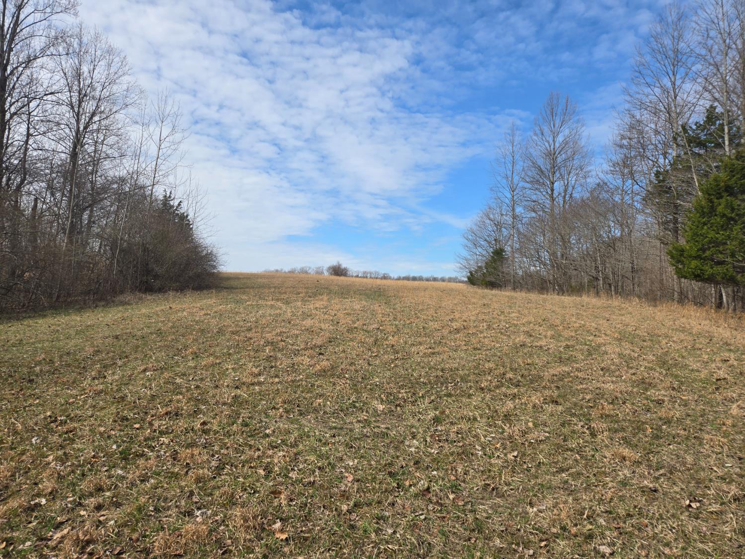 0 Mettle Road Laurel, IN 47024 - Photo 3 of 23