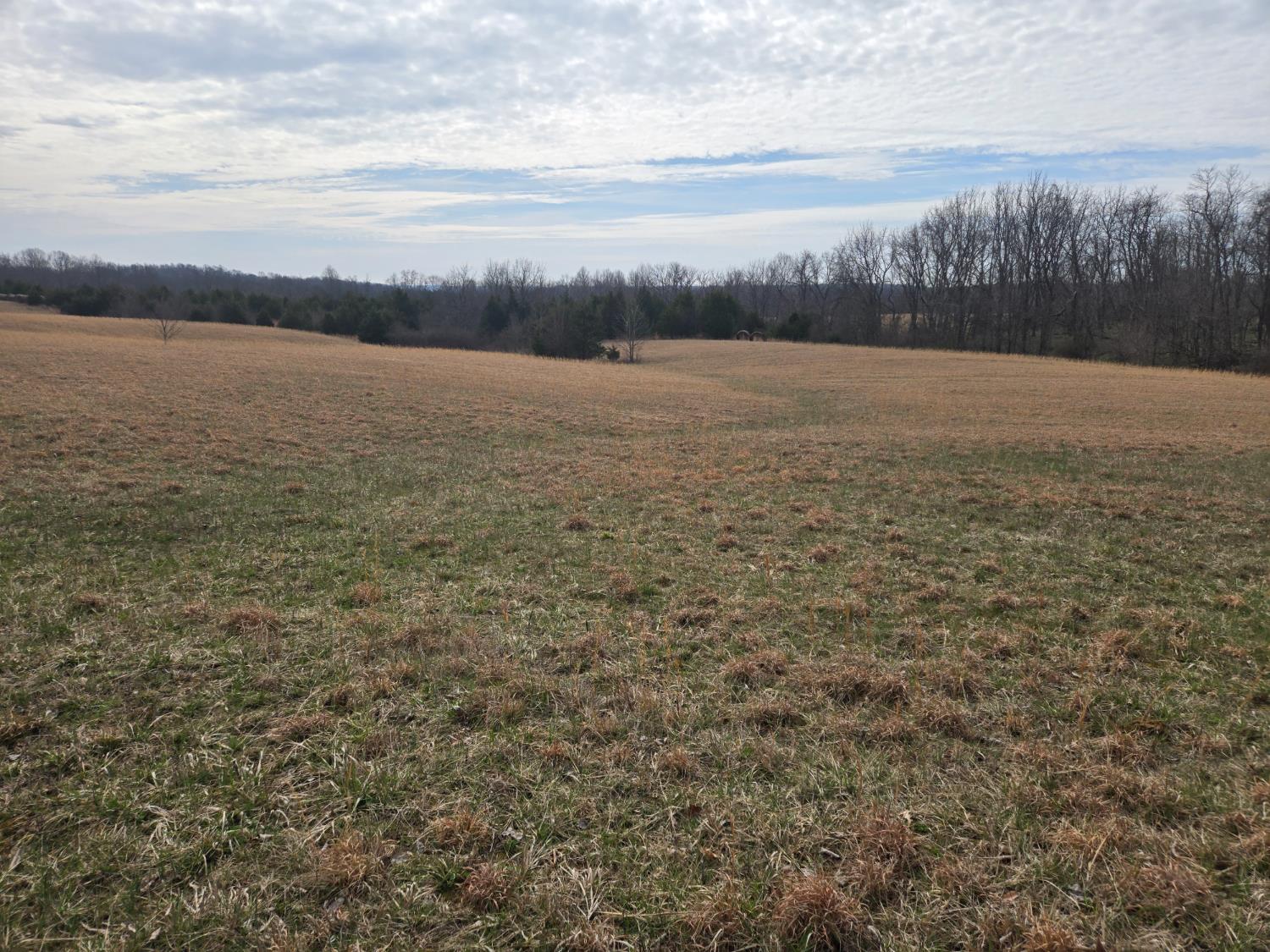 0 Mettle Road Laurel, IN 47024 - Photo 4 of 23