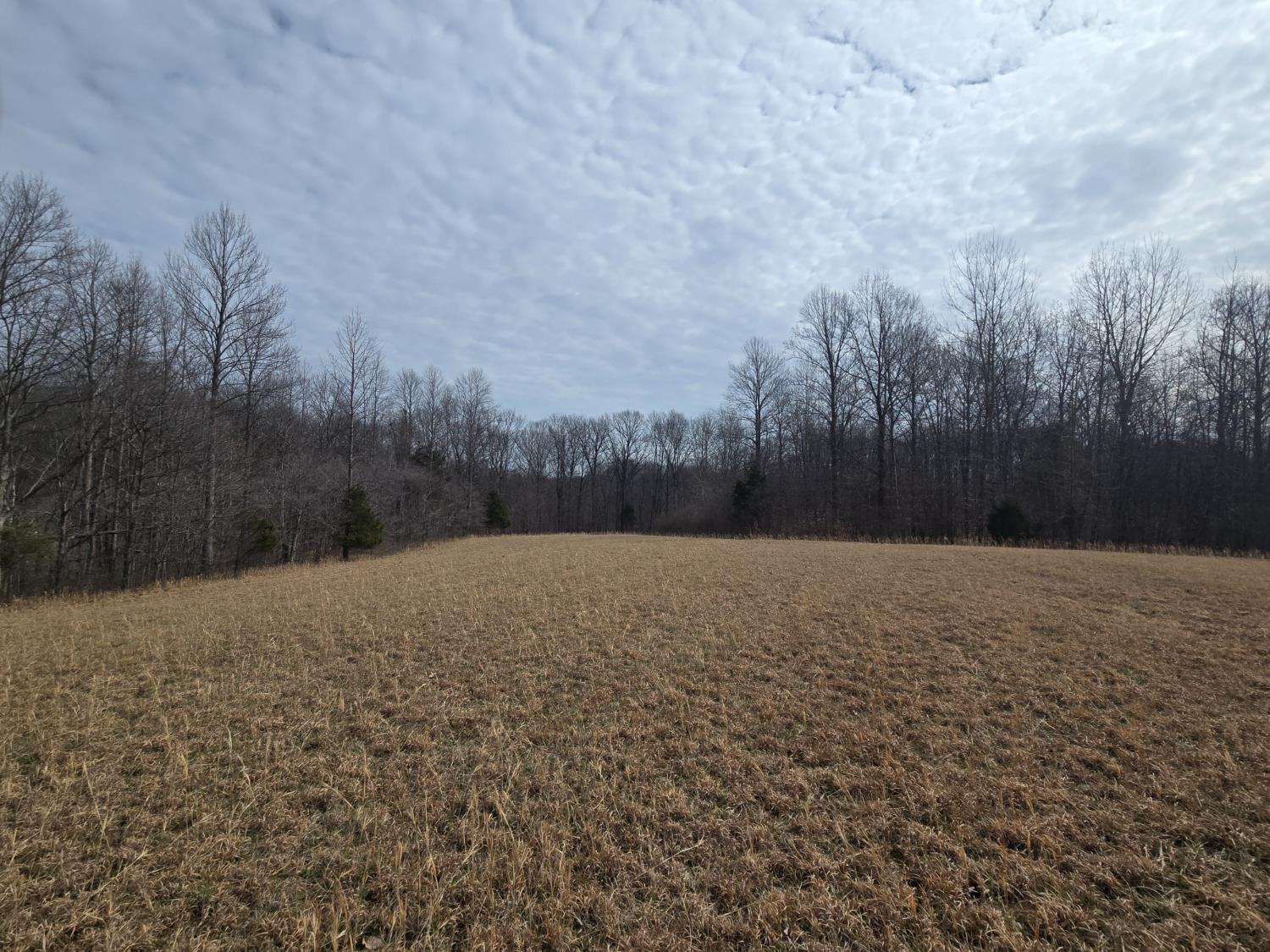 0 Mettle Road Laurel, IN 47024 - Photo 5 of 23