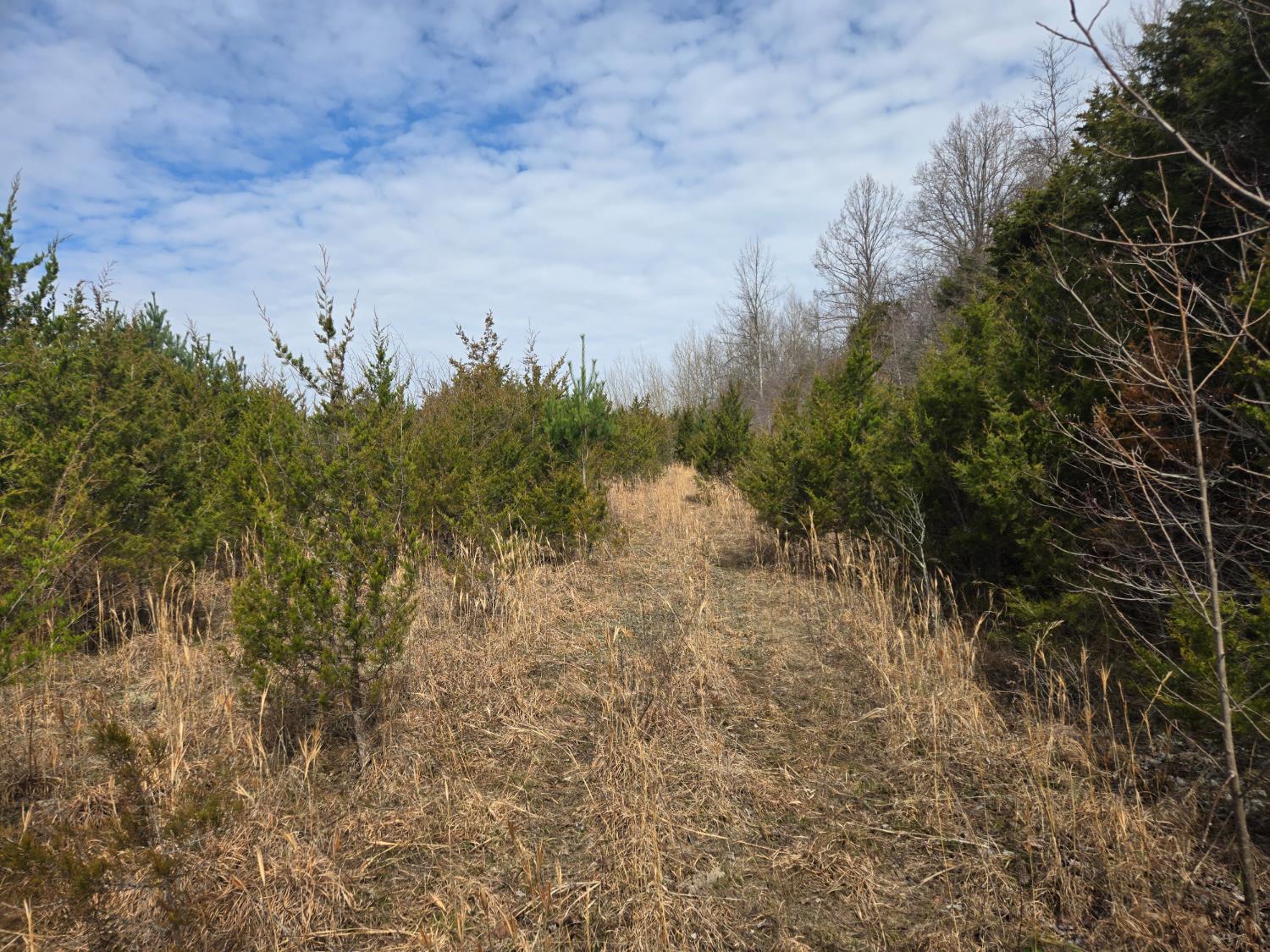 0 Mettle Road Laurel, IN 47024 - Photo 10 of 23