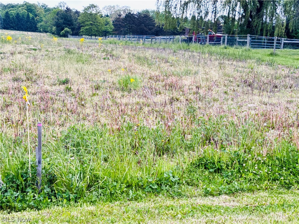 V/l Alger Road Richfield, OH 44286 - Photo 10 of 10 Gallery Image 10