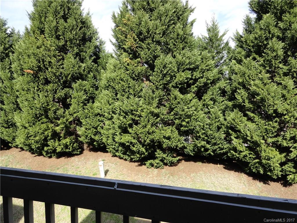 11065 Running Ridge Road, Unit 8477 Charlotte, NC 28226 - Photo 21 of 24 Gallery Image 21